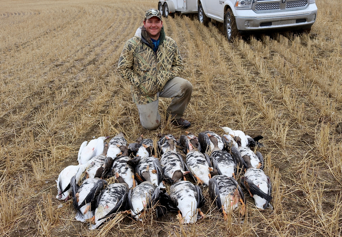 Typical Guided Specklebelly Hunt 